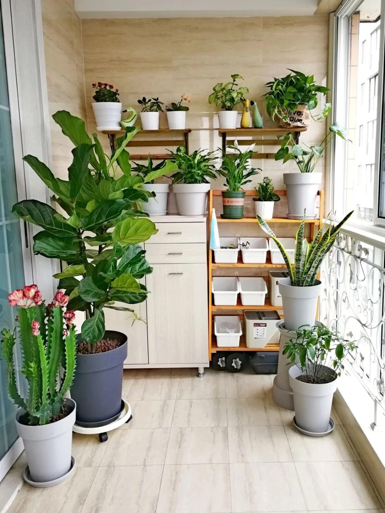 家居风阳台装饰风格展示